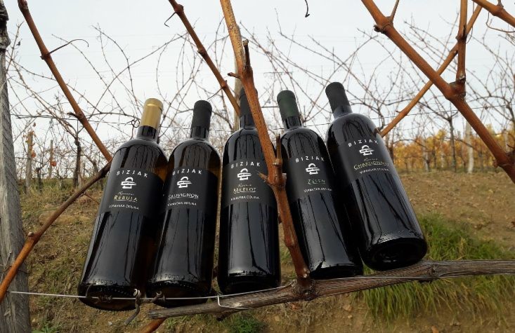 Bizjak Wines - Vipava Valley vineyards