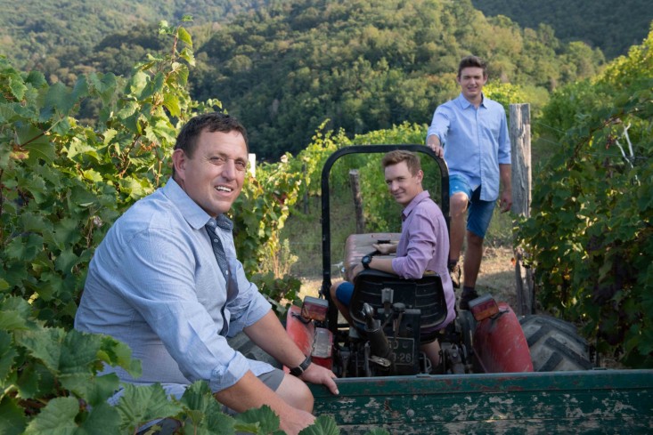 Vinograd Posestvo Berce v Vipavski dolini