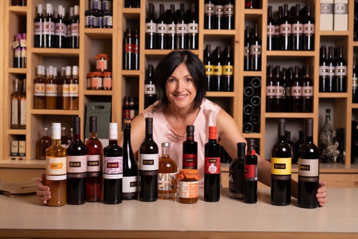 Ponudba Posestvo Berce v Vipavski dolini