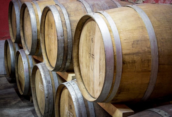 Wine Cellar Čebron Family Estate - Vipava Valley