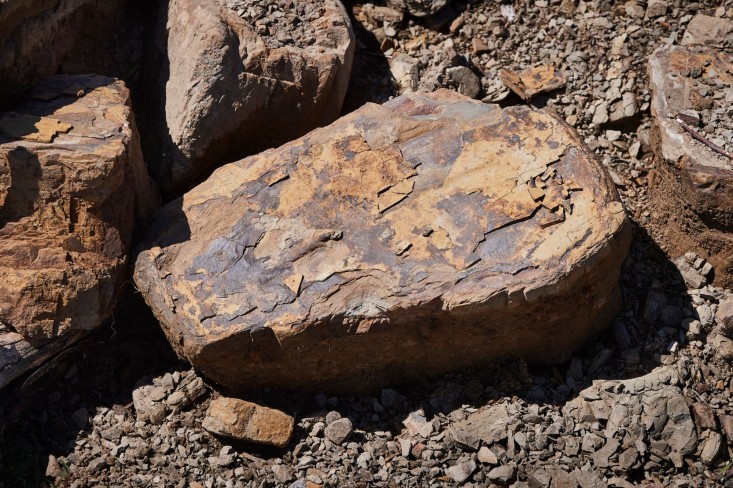 Kmetija Tratnik - Vinogradi v Vipavski dolini